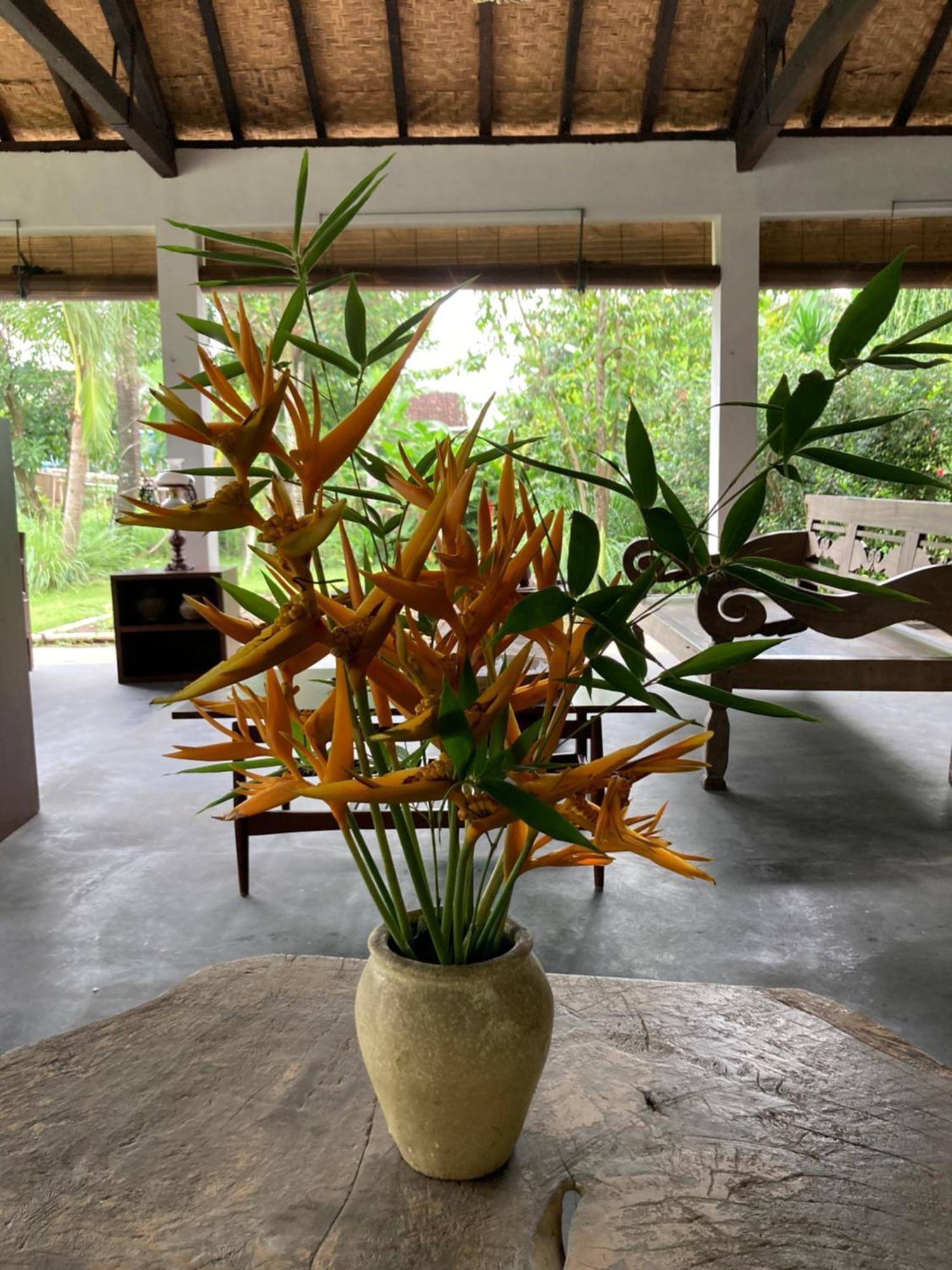 Ohmmstay - Rumah Pendopo Tanjungtirto Ngoại thất bức ảnh