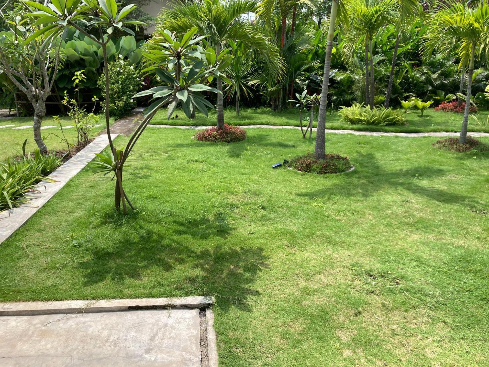 Ohmmstay - Rumah Pendopo Tanjungtirto Ngoại thất bức ảnh